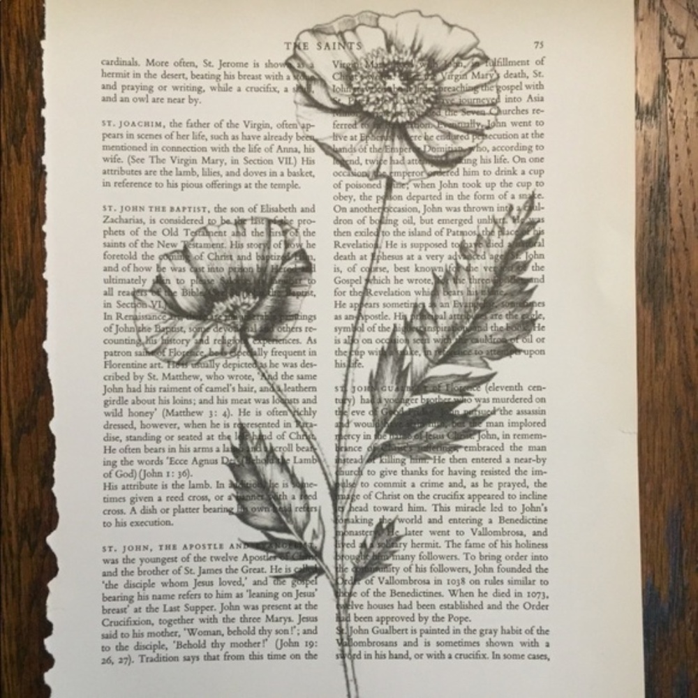 Vintage Poppy Book Print